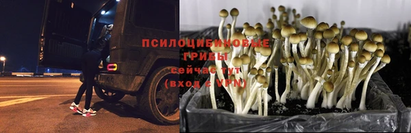 ECSTASY Белоозёрский