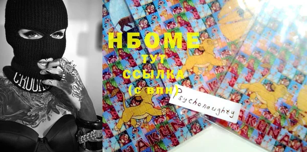 индика Снежногорск