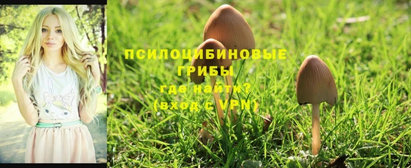 mdpv Беломорск