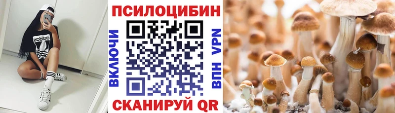 кракен маркетплейс  Вельск  Галлюциногенные грибы GOLDEN TEACHER 